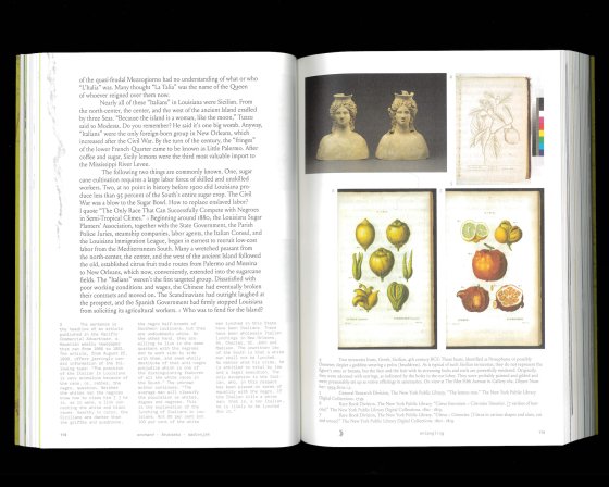 2025_robida_11_22_low