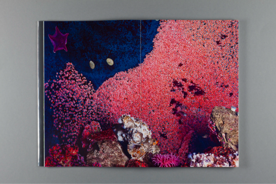 screen_shot_2022 12 22_at_09.45.31